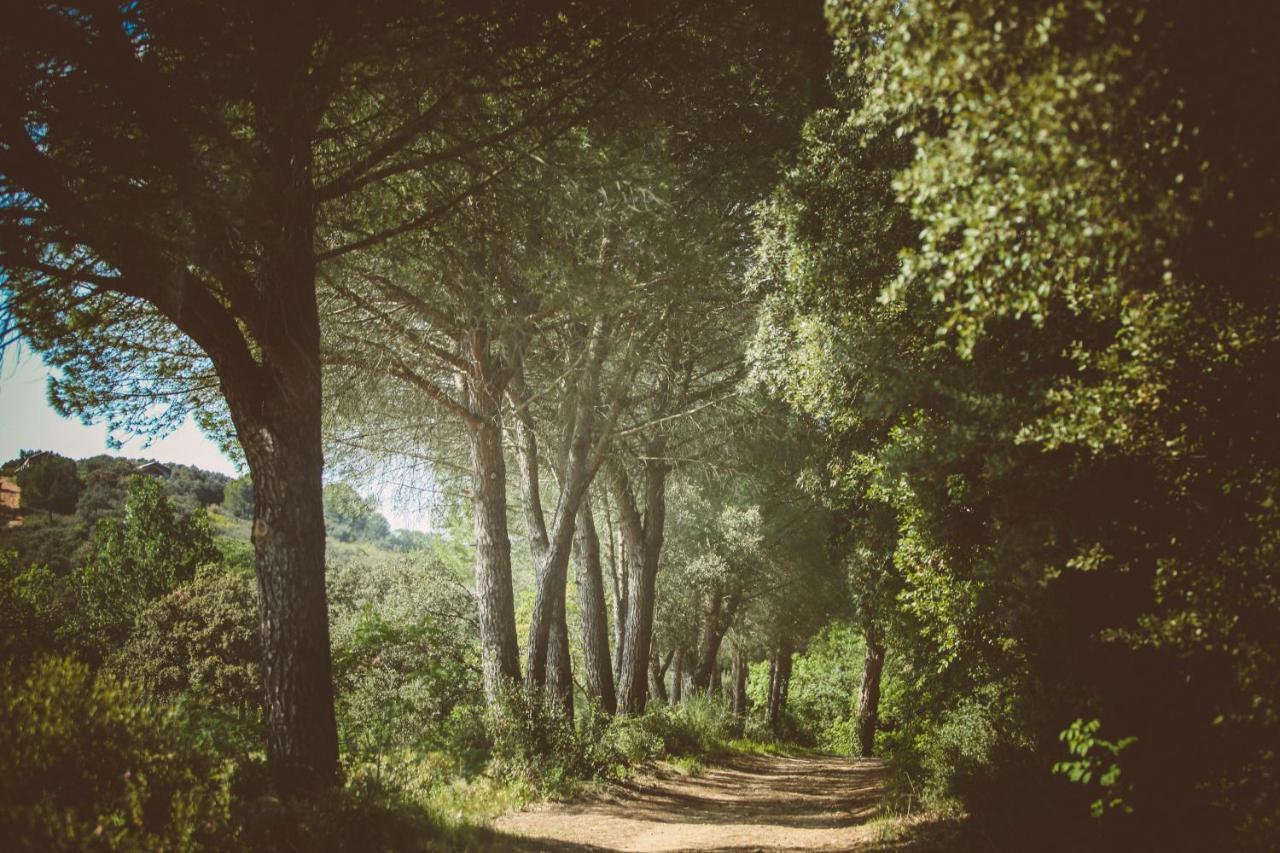 Domaine Sainte Colombe Saint-Gilles (Gard) Exterior foto